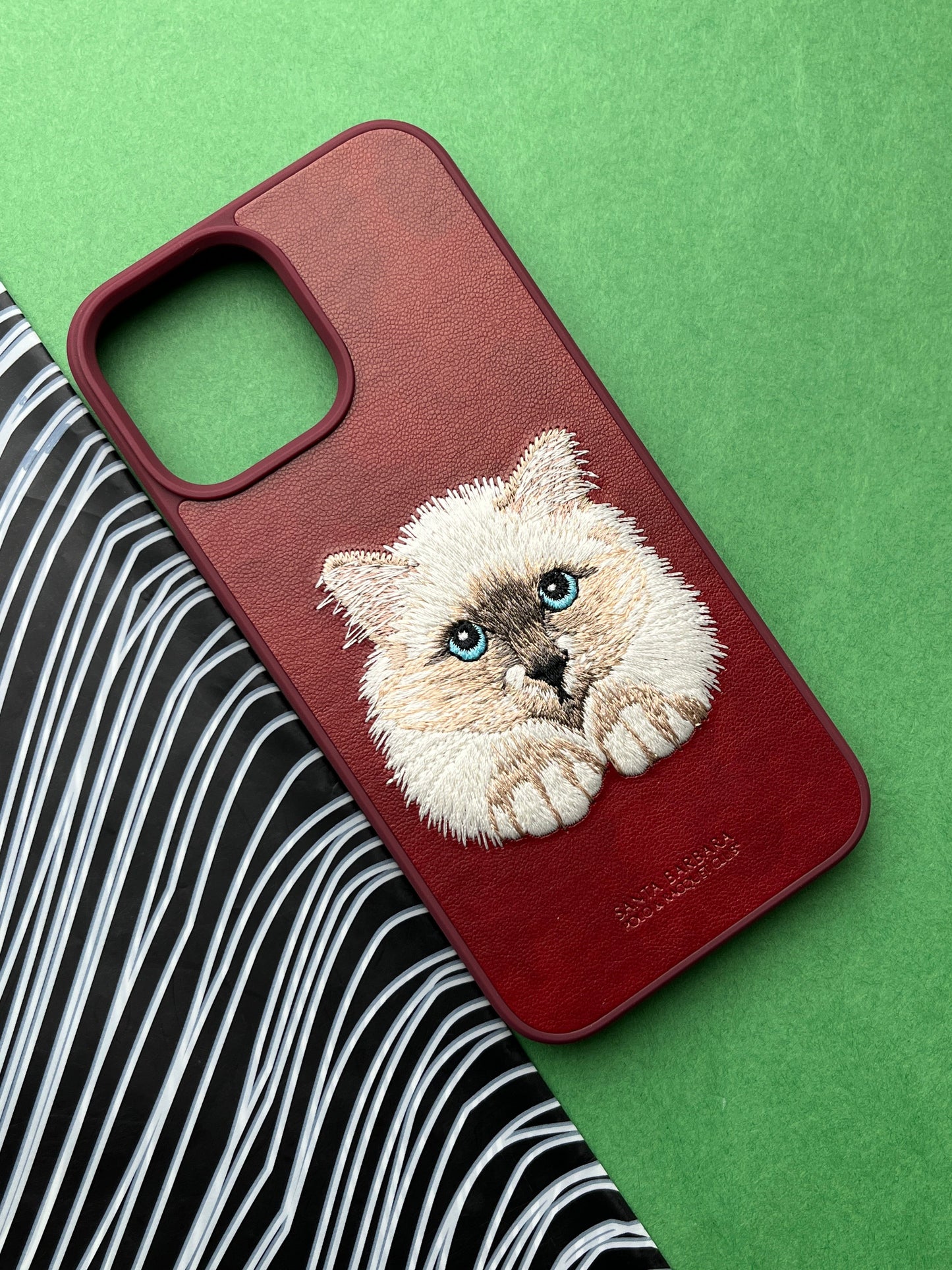 Santa Barbara Red Cat Back Cover for iPhone
