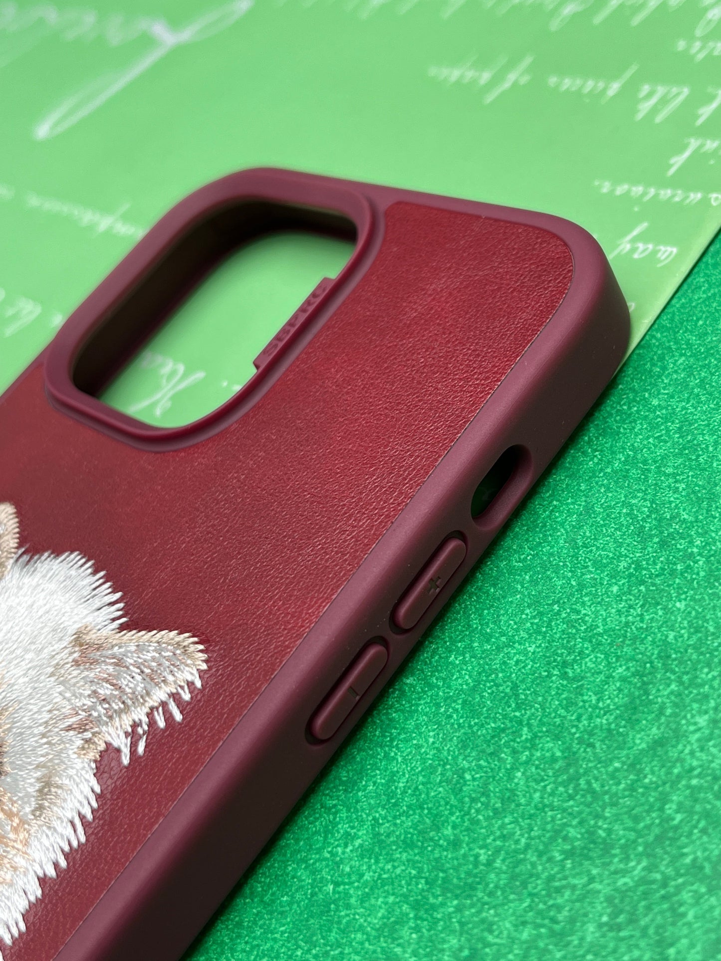 Santa Barbara Red Cat Back Cover for iPhone